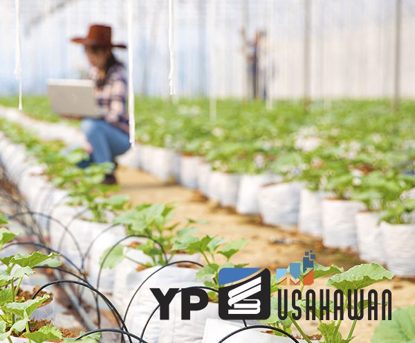 YP Usahawan